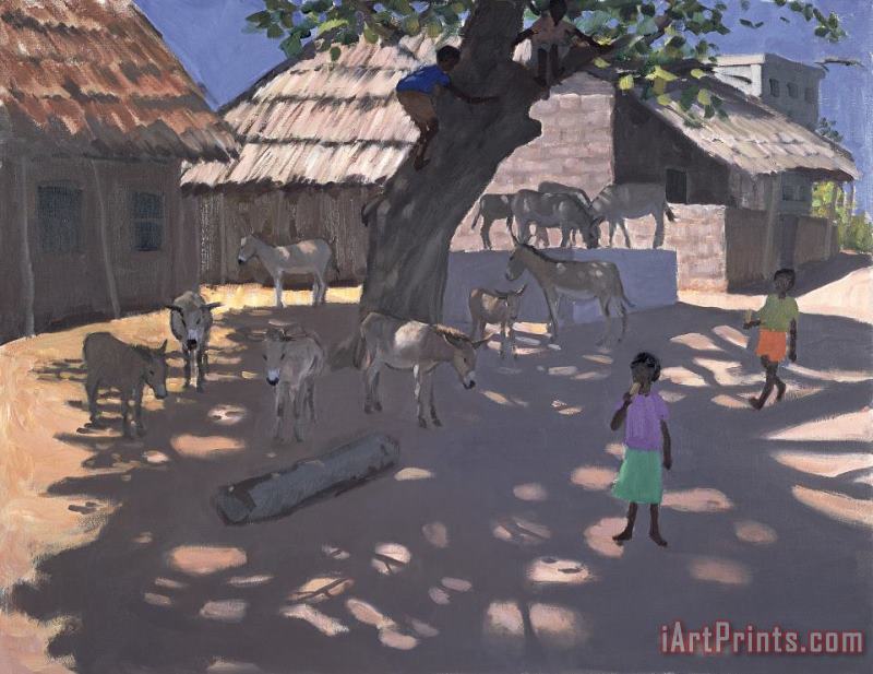 Andrew Macara Donkeys Lamu Kenya Art Print