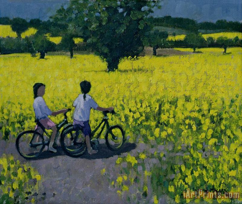 Yellow Field painting - Andrew Macara Yellow Field Art Print