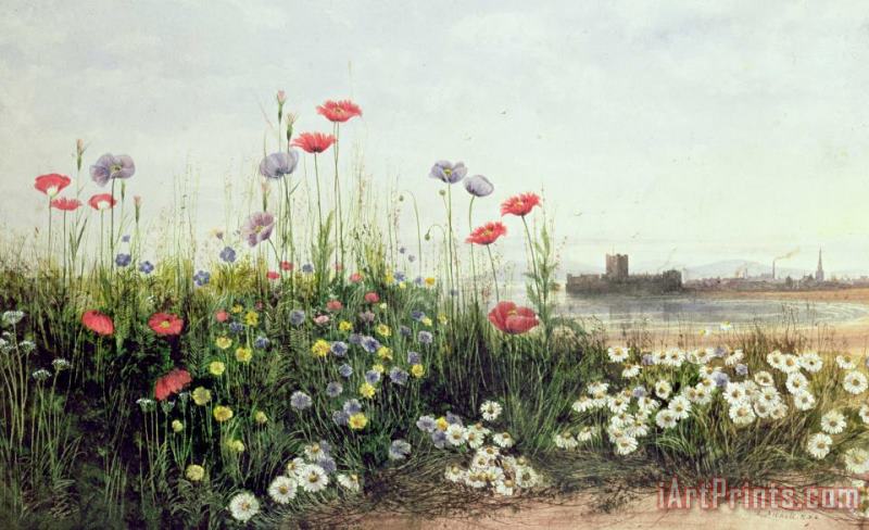 Andrew Nicholl Bank of Summer Flowers Art Print