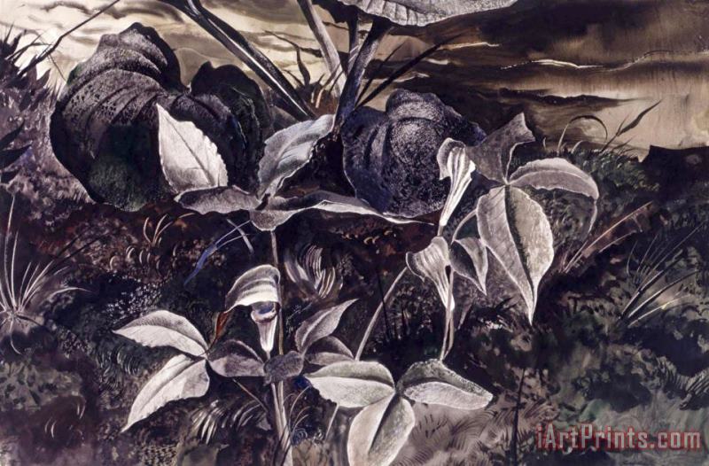 Jack in The Pulpit painting - andrew wyeth Jack in The Pulpit Art Print