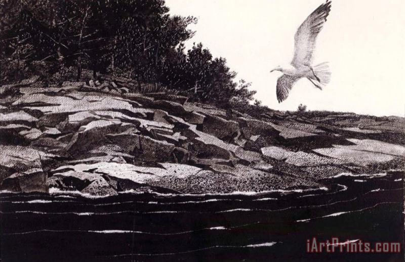 Ledge on Huppers Island painting - andrew wyeth Ledge on Huppers Island Art Print