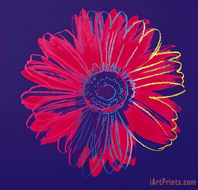 Daisy C 1982 Blue And Red painting - Andy Warhol Daisy C 1982 Blue And Red Art Print