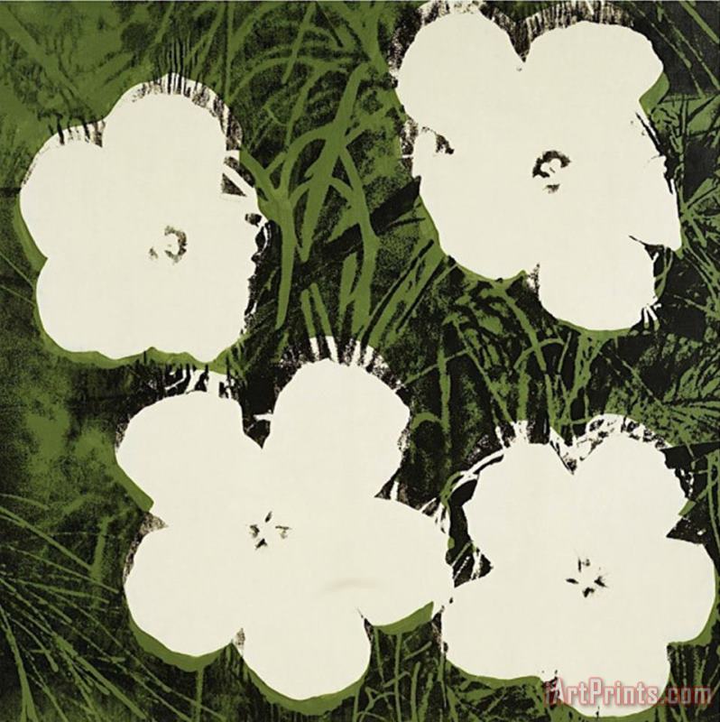 Andy Warhol Flowers C 1964 White Art Painting