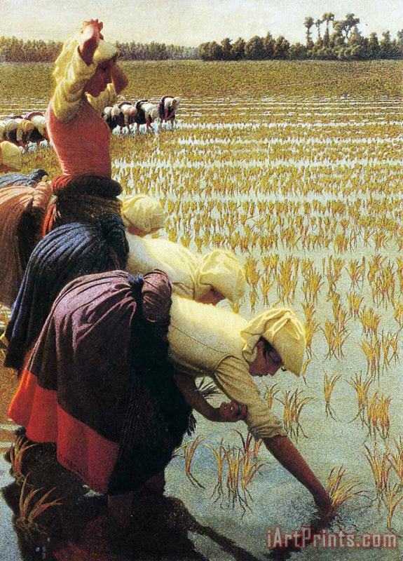An Italian Rice Field painting - Angelo Morbelli An Italian Rice Field Art Print