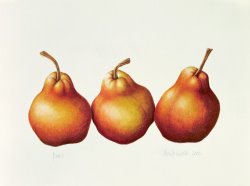 Annabel Barrett Pears