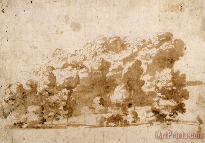 Anthonie Van Dyck A Wooded Ridge Art Print
