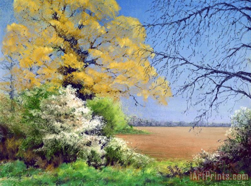 Anthony Rule Blackthorn Winter Art Painting