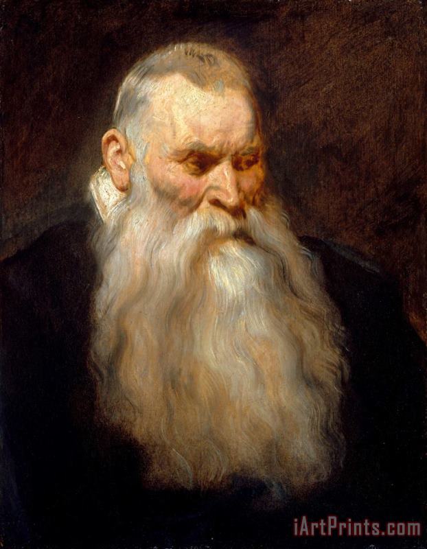 Anthony van Dyck Study Head of an Old Man with a White Beard Art Print