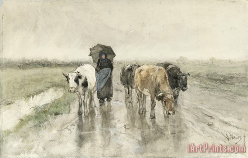 A Herdess with Cows on a Country Road in The Rain painting - Anton Mauve A Herdess with Cows on a Country Road in The Rain Art Print