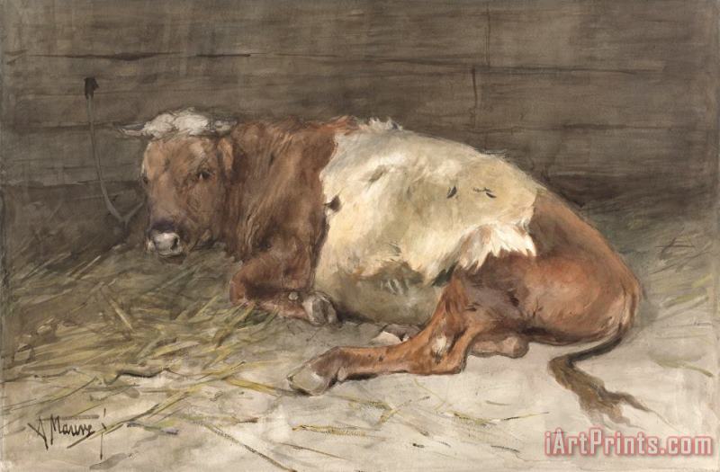 Anton Mauve Liggende Jonge Stier Art Painting