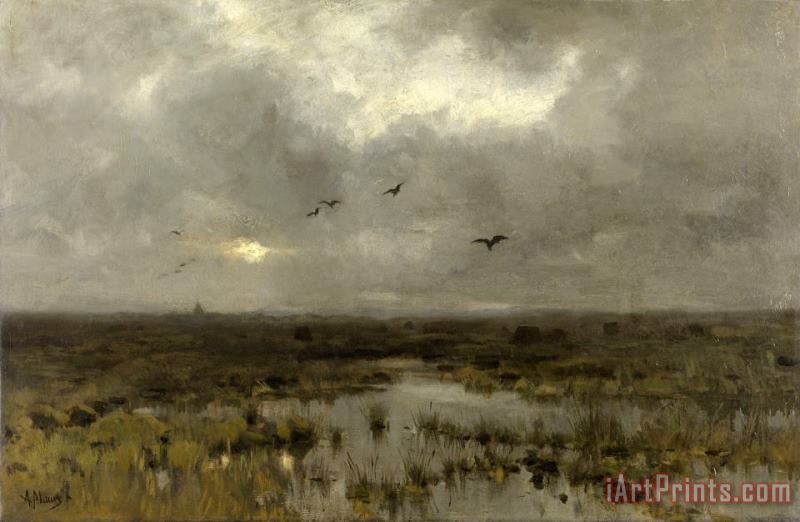 The Marsh painting - Anton Mauve The Marsh Art Print