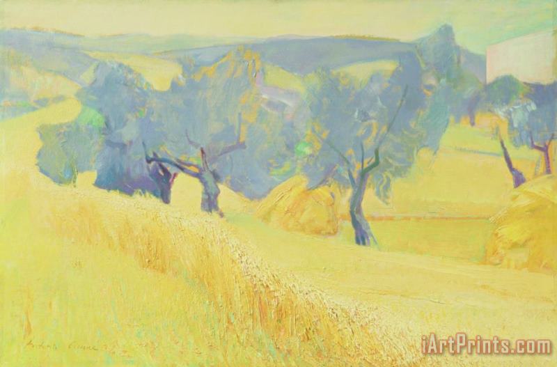 Olive Trees In Tuscany painting - Antonio Ciccone Olive Trees In Tuscany Art Print