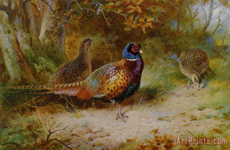 Archibald Thorburn Autumn Covert Art Painting