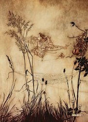 Arthur Rackham The Fairy's Tightrope from Peter Pan in Kensington Gardens