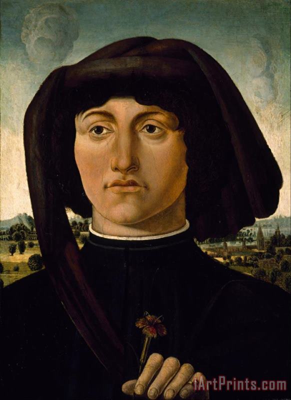 Artist, maker unknown, Italian? Portrait of a Young Man with a Pink Art Painting