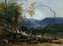 Asher Brown Durand Stratton Notch - Vermont painting