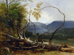 Asher Brown Durand Study from Nature - Stratton Notch painting