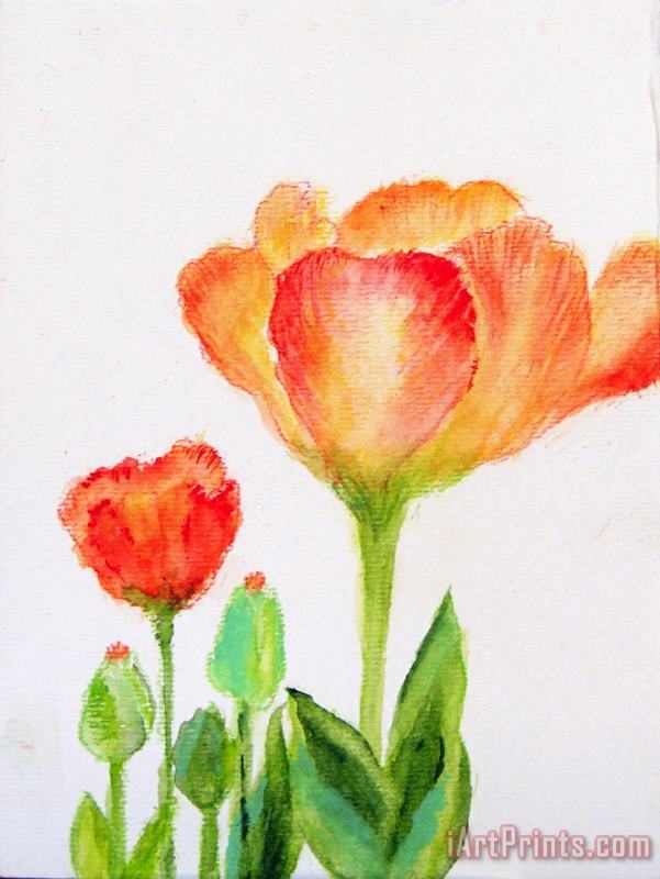 Tulips Orange and Red painting - Ashleigh Dyan Moore Tulips Orange and Red Art Print