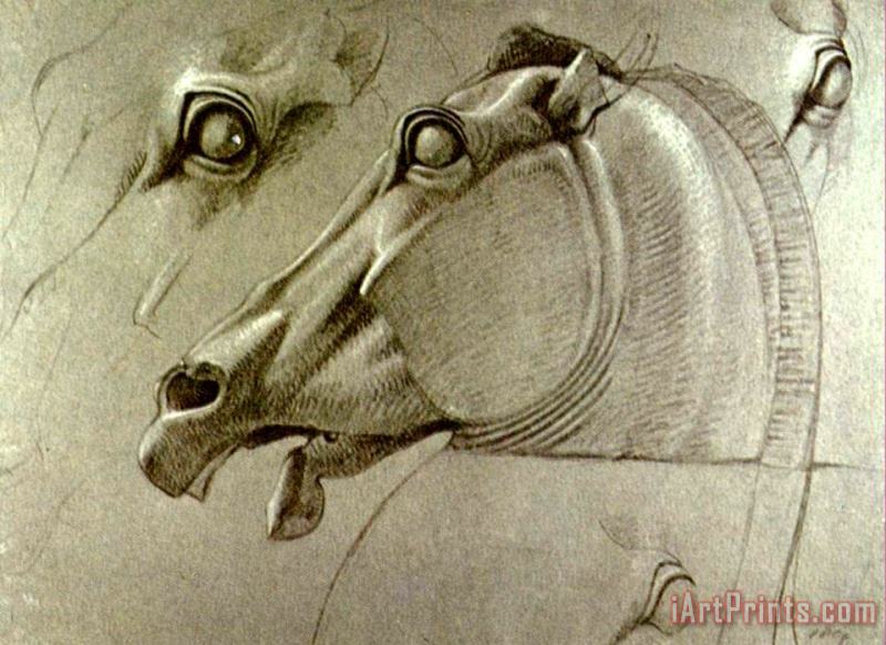 Benjamin Haydon Horse Head Sketch Art Painting