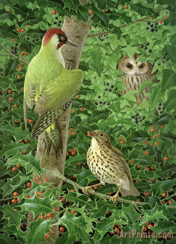 Woodpecker Owl And Thrush painting - Birgitte Hendil Woodpecker Owl And Thrush Art Print