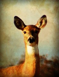 Blair Wainman Memories