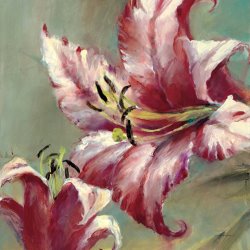 brent heighton Blooming Lily