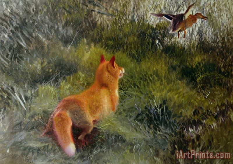 Bruno Andreas Liljefors Eluding the Fox Art Print
