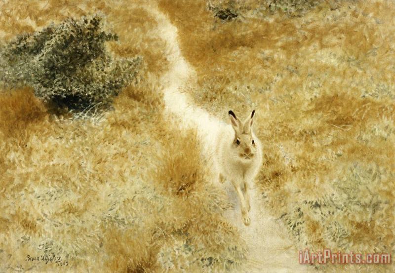 A Winter Hare in a Landscape painting - Bruno Liljefors A Winter Hare in a Landscape Art Print