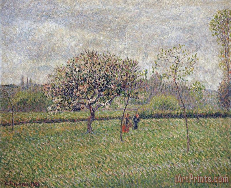 Apple Tree Blossom at Eragny painting - Camille Pissarro Apple Tree Blossom at Eragny Art Print
