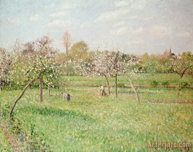 Apple Trees at Gragny painting - Camille Pissarro Apple Trees at Gragny Art Print