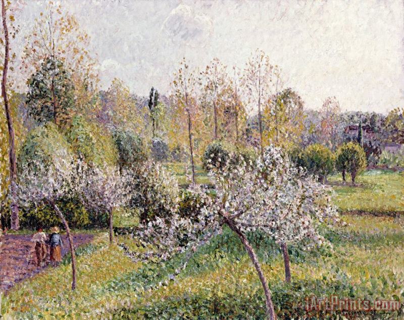 Apple Trees in Blossom, Eragny painting - Camille Pissarro Apple Trees in Blossom, Eragny Art Print