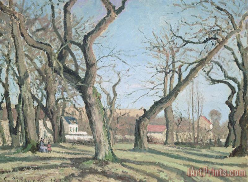 Chestnut Trees at Louveciennes painting - Camille Pissarro Chestnut Trees at Louveciennes Art Print