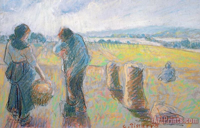 Peasants In The Fields painting - Camille Pissarro Peasants In The Fields Art Print