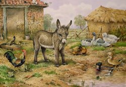 Carl Donner Donkey and Farmyard Fowl