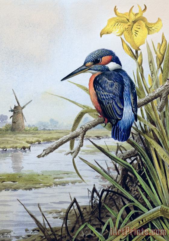 Carl Donner Kingfisher with Flag Iris and Windmill Art Print