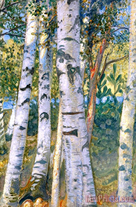 Carl Larsson Birch Trees Art Print
