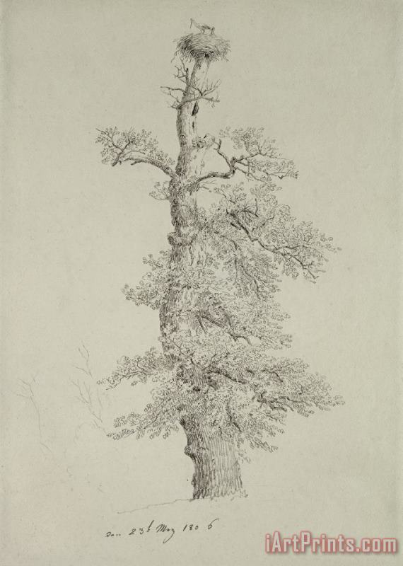 Caspar David Friedrich Ancient Oak Tree With A Storks Nest Art Print