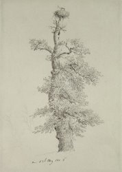 Caspar David Friedrich Ancient Oak Tree With A Storks Nest painting