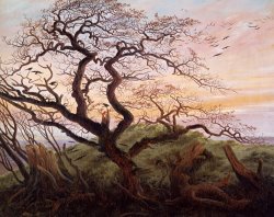 Caspar David Friedrich The Tree of Crows painting