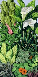 Catherine Abel Foliage