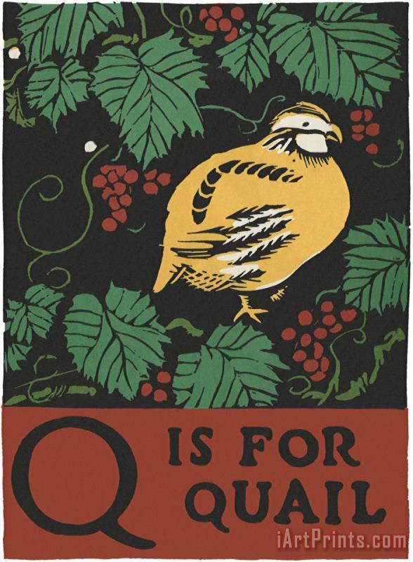 C.B. Falls Alphabet: Q Is for Quail Art Print