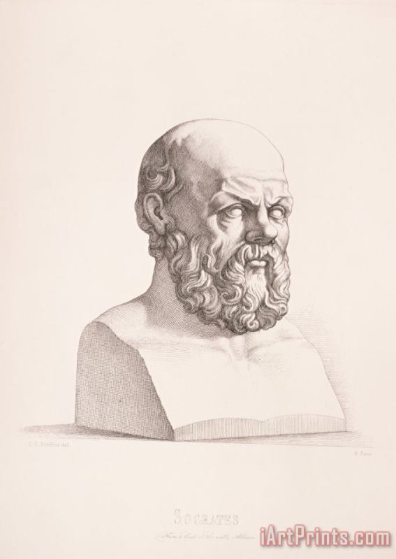 Portrait Of Socrates painting - CC Perkins Portrait Of Socrates Art Print