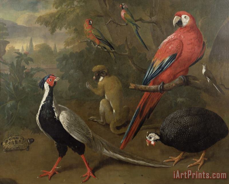 Pheasant Macaw Monkey Parrots and Tortoise painting - Charles Collins Pheasant Macaw Monkey Parrots and Tortoise Art Print