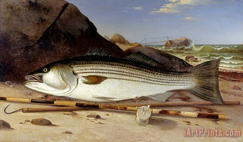Striped Bass on Cuttyhunk Island, 1870 painting - Charles Henry Gifford Striped Bass on Cuttyhunk Island, 1870 Art Print