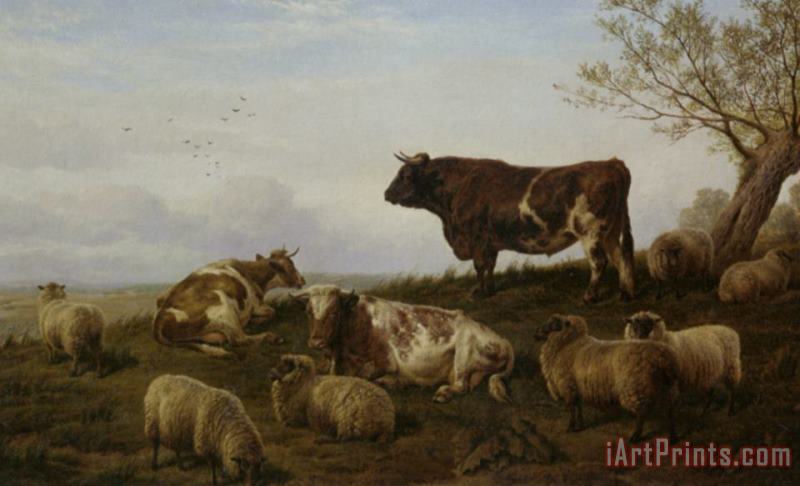 Charles Jones Cattle And Sheep Resting Art Painting