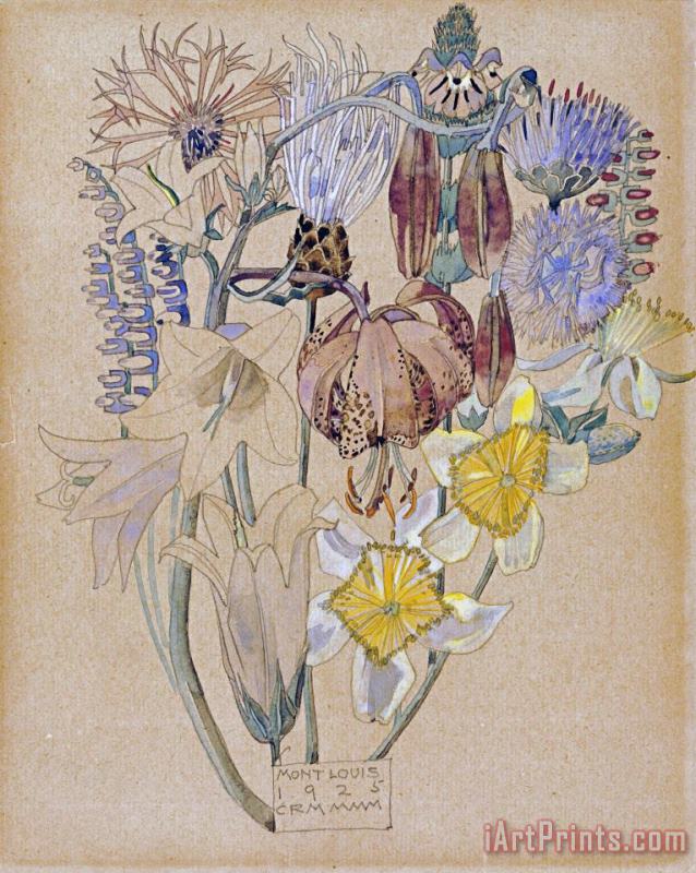 Charles Rennie Mackintosh Mont Louis Flower Study Art Print