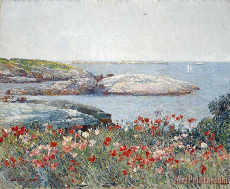 Poppies, Isles of Shoals painting - Childe Hassam Poppies, Isles of Shoals Art Print