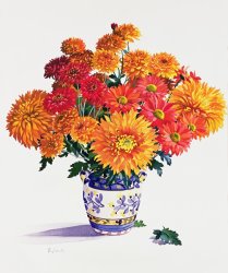 Christopher Ryland October Chrysanthemums