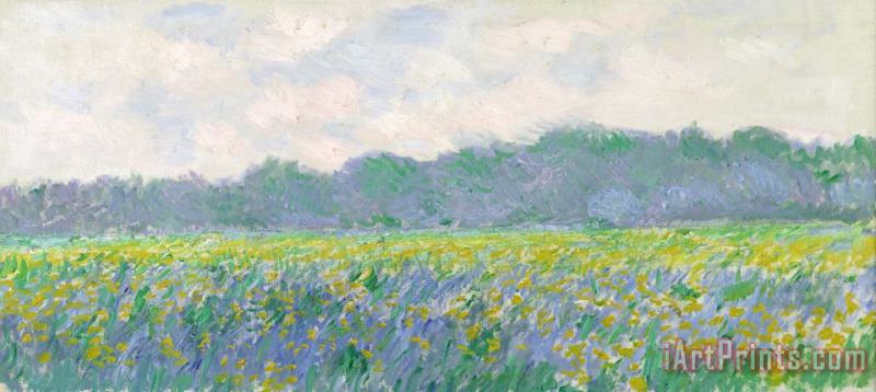 Claude Monet Field of Yellow Irises at Giverny Art Painting