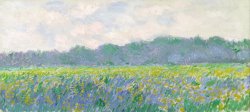 Claude Monet Field of Yellow Irises at Giverny